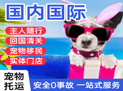 北京大兴航空快运国际宠物托运 【国